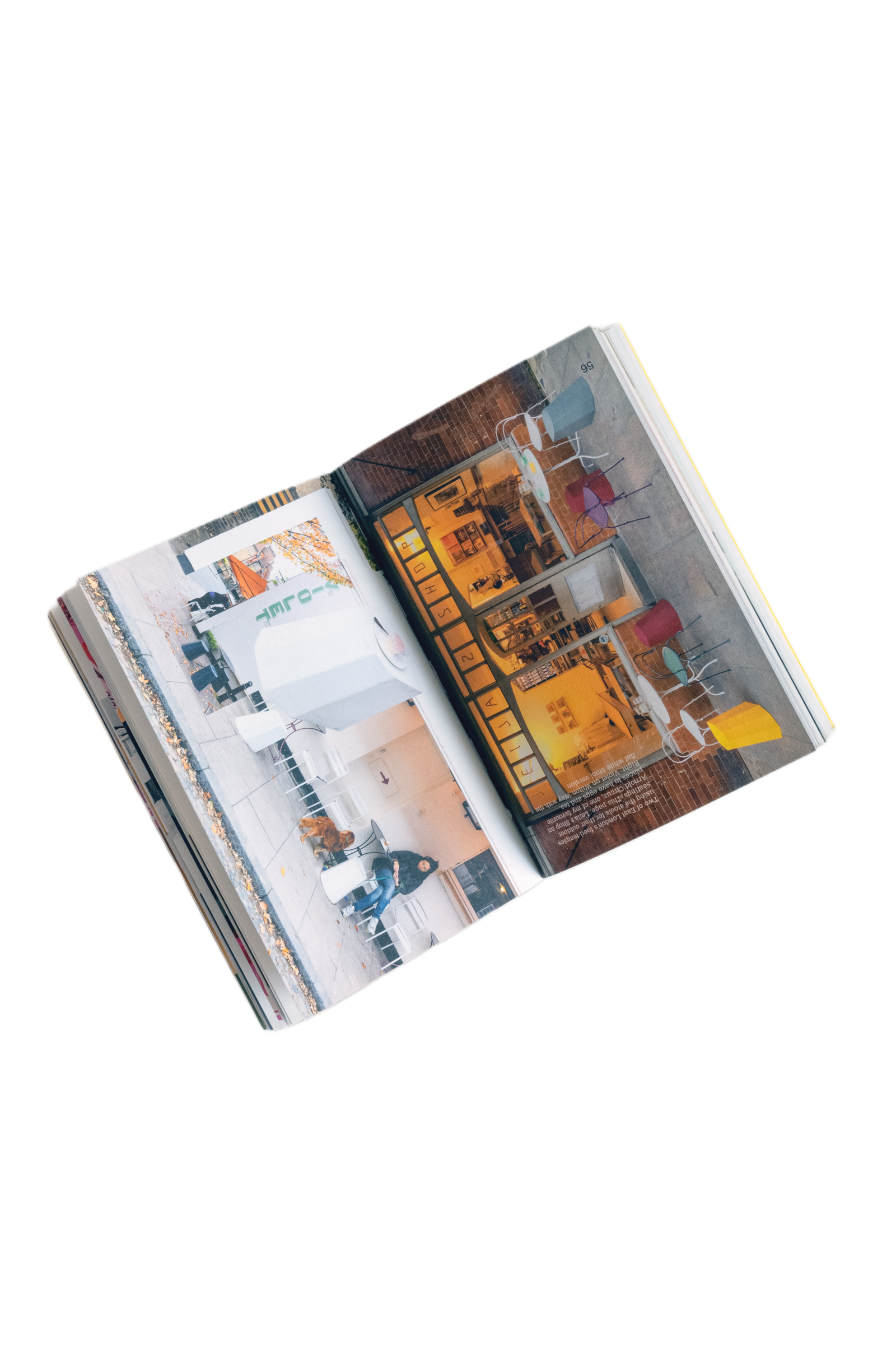 The Arnold Circus Stool